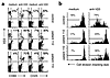 Activation marker expression and cell division. (a) CD8-depleted PBMCs were