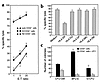 Functional analysis of JZ1.1. (a) Cytotoxicity for autologous CD34 cells, n