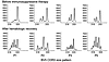 BV5 CDR3 size pattern and response to therapy. BV5 cDNA from P1, P2, P3, an