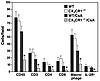 Leukocyte accumulation at day 7 after transplant. Analysis of immunoperoxid