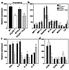 Chemokine and cytokine expression in rejecting allografts. Analysis of day