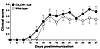 Lack of requirement for CX3CR1 expression in development of murine EAE. Wil