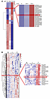 Identification of the H. pylori infection–induced lncRNA SNHG17.