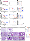 IFN-I signaling is protective during MERS-CoV infection.