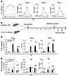 Viral RNA sensing and IFN-I production in MERS-CoV–infected mice.