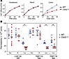 Everted sac assays of intestinal permeability.