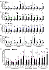 Prevalent IFN pathway activation in mouse models of brain amyloidosis.