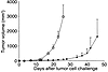 Effect of homeostatic T cell expansion on growth of a colon carcinoma cell