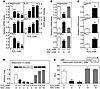 Effects of ROS on gene expressions in 3T3-L1 adipocytes. (A and B) The mRNA