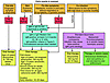 An algorithm for the diagnosis and treatment of the early events surroundin