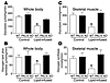 Insulin-stimulated whole-body and skeletal muscle (gastrocnemius) glucose m