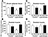 Skeletal muscle (gastrocnemius) insulin signaling and glucose uptake in bro