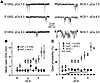 Calcium dependence of the effect of NCS-1 and its E120Q