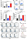 Both rhIL-7 and rhIL-15 increase CD8+ effectors specific for the immunodomi