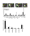 Breast tumor cell protein expression and activation differences between col