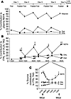 Fatty acid sources in the fasted and fed states. (A and B) Sources of serum