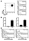 Phenotype of PAM-expanded Treg.