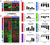 Gene expression patterns of HGF-regulated genes in primary mouse hepatocyte