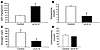 VMH UCN III suppresses glucose CRRs to acute hypoglycemia.