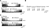 Effects of UCN I on VMN GE neurons.