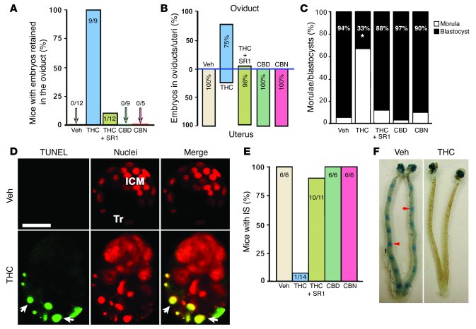 Impact of marijuana exposure on oviductal transport, early embryo develo...