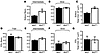 IKK2 muscle depletion increases number of intermediate fibers.