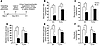 TLR4 deficiency prevents lipid-induced insulin resistance.