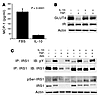 IL-10 prevents the effects of TNF-α on adipocytes.