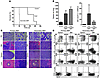 Mouse model of aberrant Cdx2 expression.