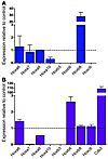 Hox gene expression in murine hematopoietic cells expressing Cdx2.