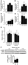 Central resistin increased hepatic glucoses fluxes predominantly via glycog