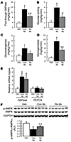 Central blockade of resistin after peripheral (i.v.) resistin infusion atte