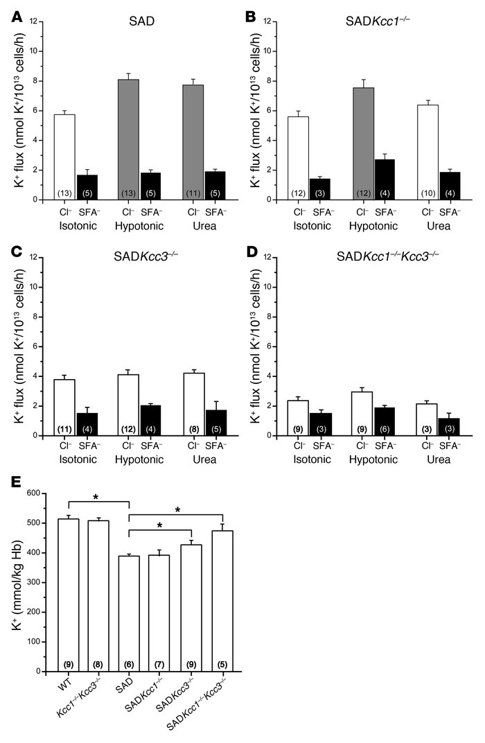 rbc K-Cl cotransport activity and K+ content of SAD mice of various Kcc ...