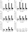 K-Cl cotransport activity in rbc of WT and KO mice.