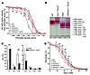 Hematological characterization of SAD mice of various Kcc genotypes.