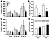 Decreased measures of adiposity and increased hypothalamic leptin action in