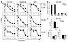 TAp73 mediates cisplatin sensitivity in breast cancer cells expressing TAp7