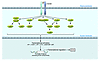 TGF-β signaling through non-SMAD pathways.