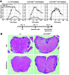 Failure of apoptotic cell–mediated tolerance induction after depletion of M