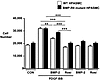 Antiproliferative effects of BMP-2 and the PPARγ agonist rosiglitazone on P