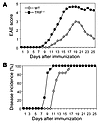 TRIF-deficient mice develop severe EAE.