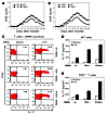 Type I IFN induction pathway in innate immune system constrains the develop