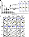 CD11c+ DCs take up vaccine cells most efficiently in mice treated with the