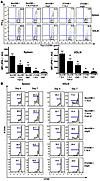 The neu-expressing, GM-CSF–secreting vaccine given concurrently with the in