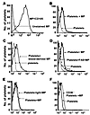 CD36-dependent binding of MPs to platelets, detected by immuno­fluorescence