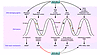 BCR-ABL1 regulates DNA damage and DNA repair, the 2 major components of gen