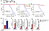 PQ at the time of TBI increases survival.