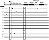 Schematic representation of detected mutations in the protein sequences of