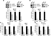 Autophagy disruption affects the stability of Ap-3 and Bloc-1 sorting compl