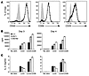 NIK-deficient CD4+ T cells respond normally to TCR signaling.